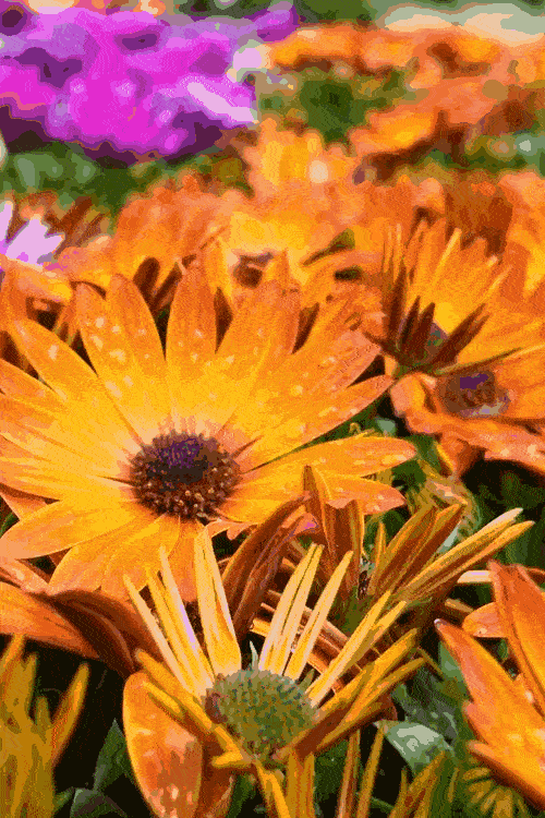 How we are helping Perrywood Garden Centres grow faster than ever