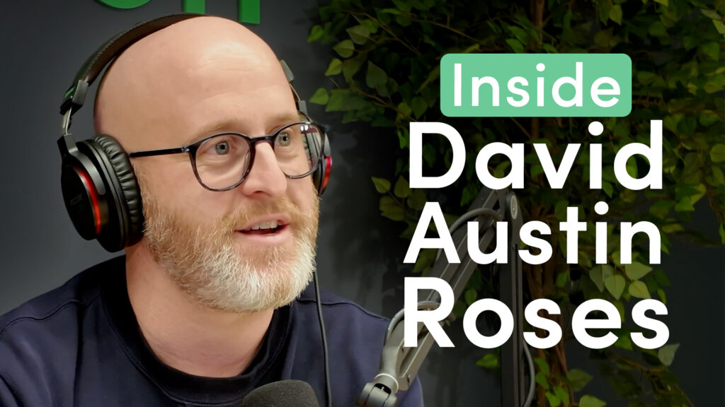 The marketing behind the world’s most famous roses