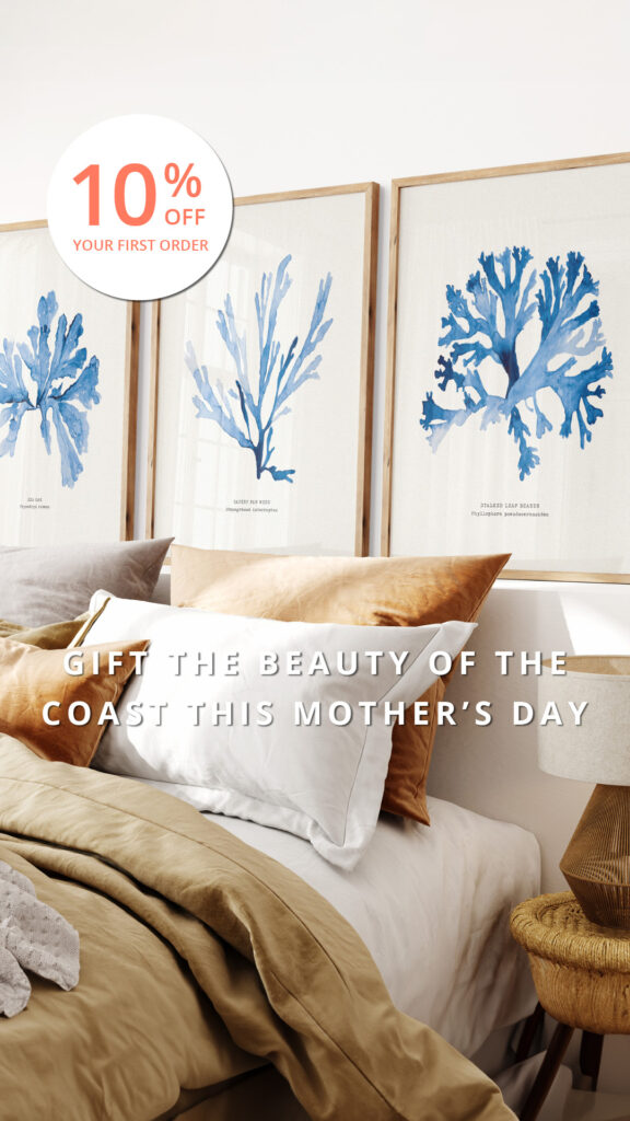 BHA.0202-1080x1920_Ads6