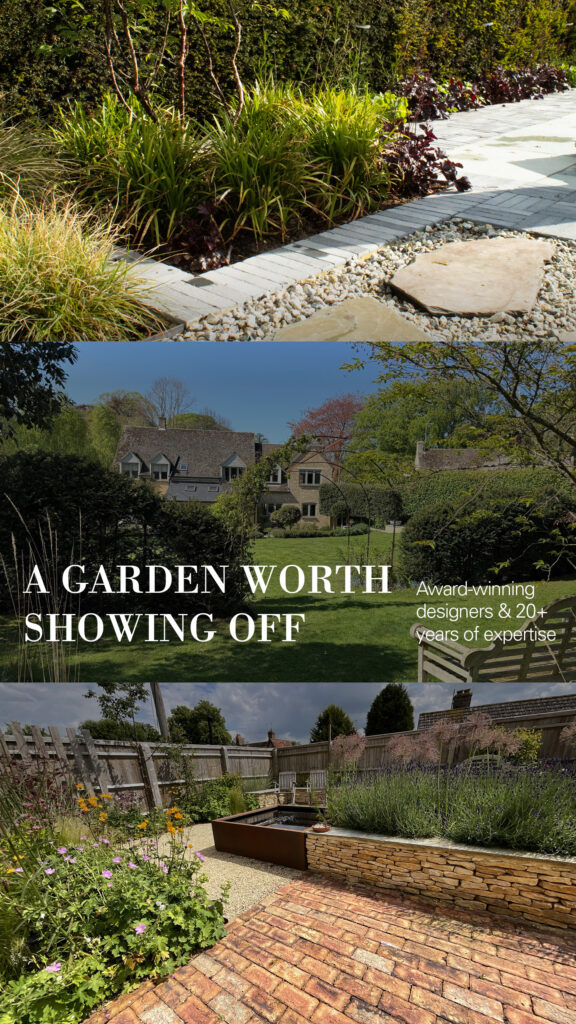 OGD.0601 – 1080x1920_June ads2